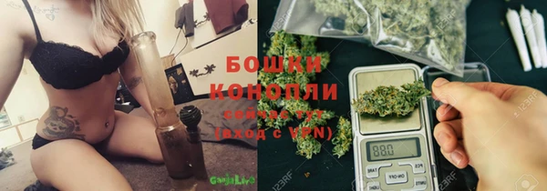 прущие грибы Абдулино